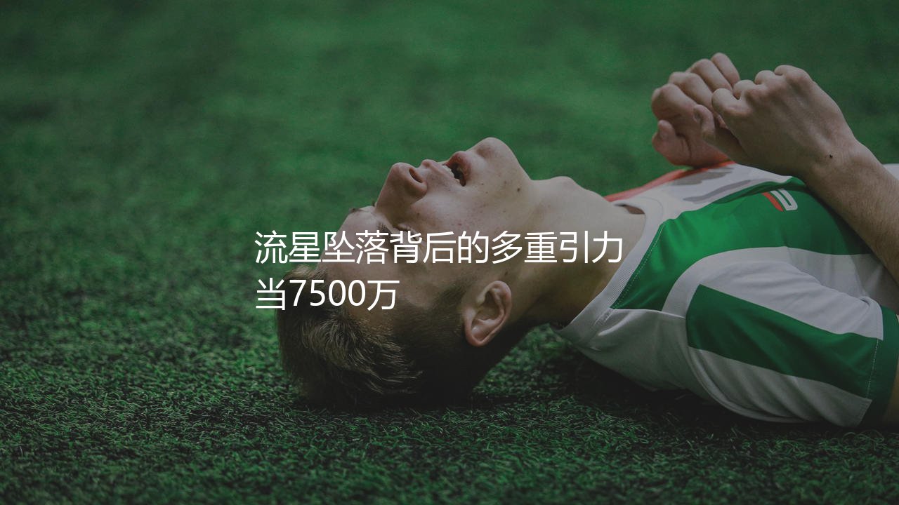 弗拉霍维奇身价暴跌原因:流星坠落背后的多重引力-第1张图片-天体号 弗拉霍维奇身价暴跌原因:流星坠落背后的多重引力-第1张图片-天体号