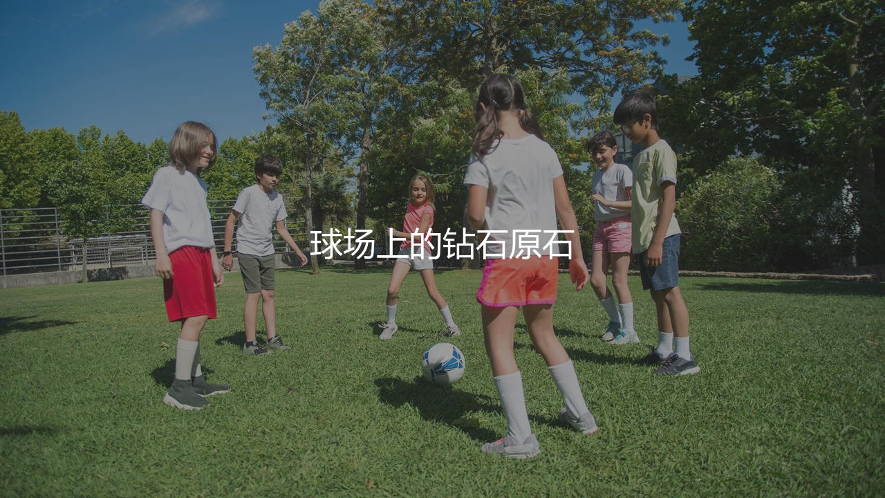 本菲卡身价最高的球员:球场上的钻石原石-第1张图片-天体号