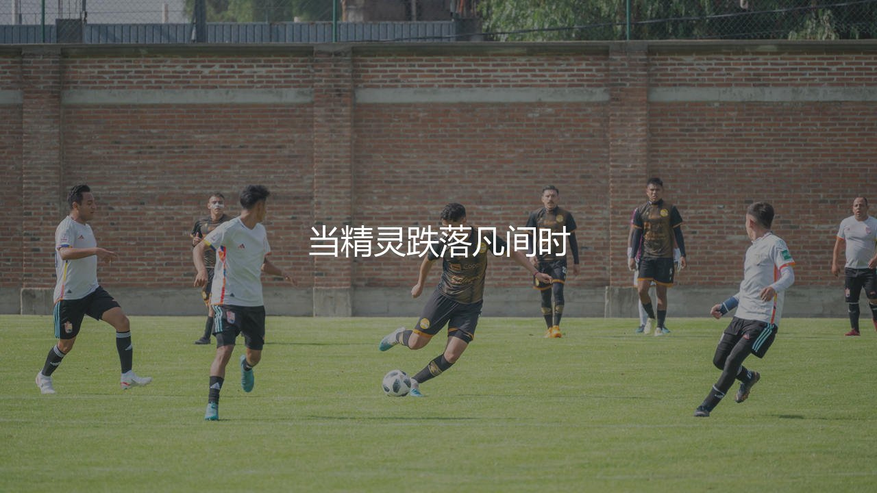 罗纳尔迪尼奥几次金球奖?当精灵跌落凡间时-第1张图片-天体号 罗纳尔迪尼奥几次金球奖?当精灵跌落凡间时-第1张图片-天体号