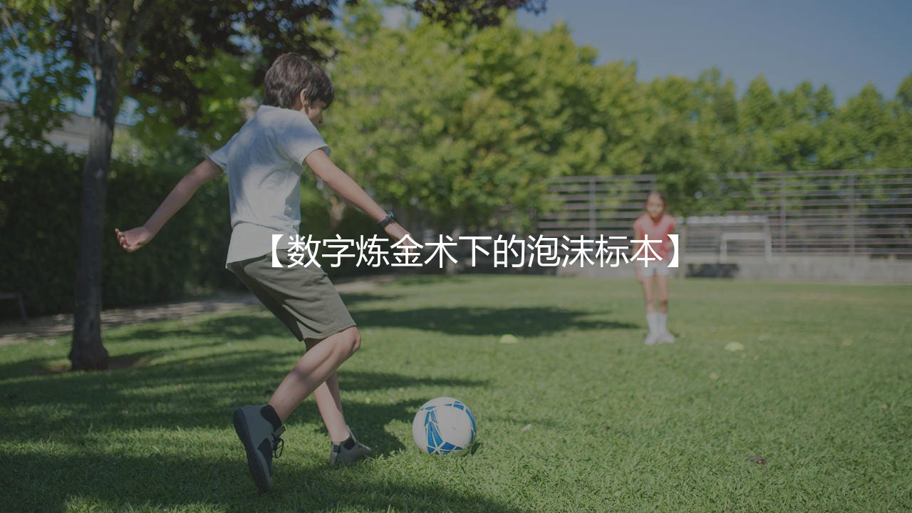 拉扬·切尔基身价:法兰西新星数字炼金术下的泡沫标本-第1张图片-天体号 拉扬·切尔基身价:法兰西新星数字炼金术下的泡沫标本-第1张图片-天体号