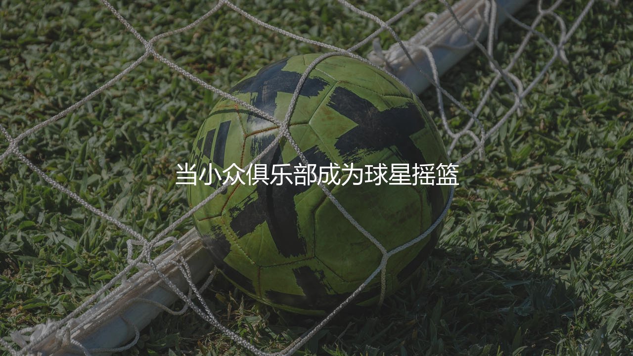 皇家社会培养出过哪些球星？当小众俱乐部成为球星摇篮-第1张图片-天体号