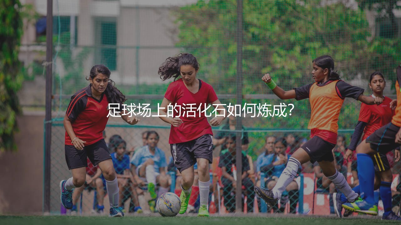 塞尔维亚队历史出场次数最多的球员：足球场上的活化石如何炼成？-第1张图片-天体号