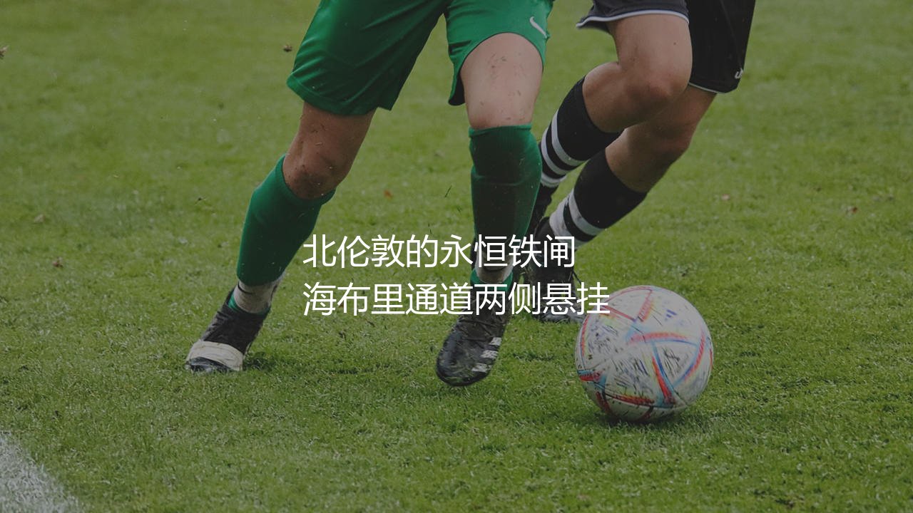 代表阿森纳出场次数最多的球员:北伦敦的永恒铁闸-第1张图片-天体号 代表阿森纳出场次数最多的球员:北伦敦的永恒铁闸-第1张图片-天体号