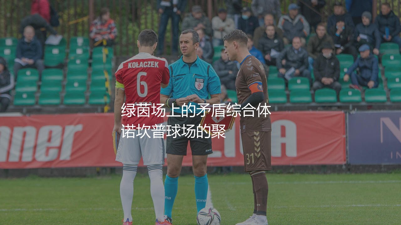 莱万多夫斯基双标啥意思？绿茵场上的矛盾综合体-第1张图片-天体号