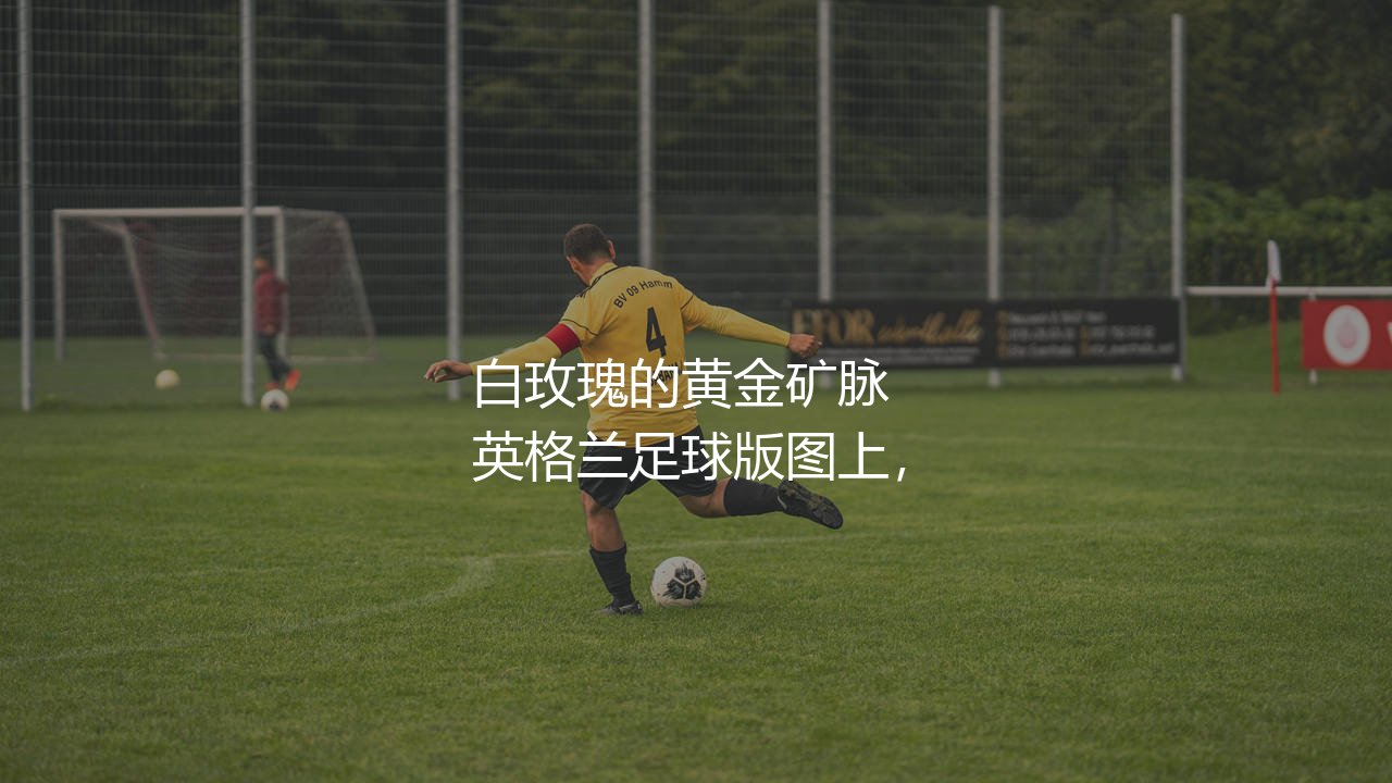 利兹联青训出品过哪些球星?白玫瑰的黄金矿脉-第1张图片-天体号 利兹联青训出品过哪些球星?白玫瑰的黄金矿脉-第1张图片-天体号