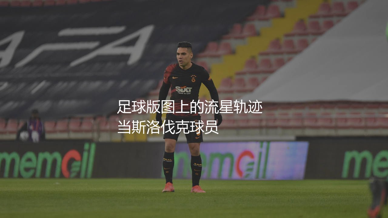 斯洛伐克队参加了几届世界杯?足球版图上的流星轨迹-第1张图片-天体号 斯洛伐克队参加了几届世界杯?足球版图上的流星轨迹-第1张图片-天体号
