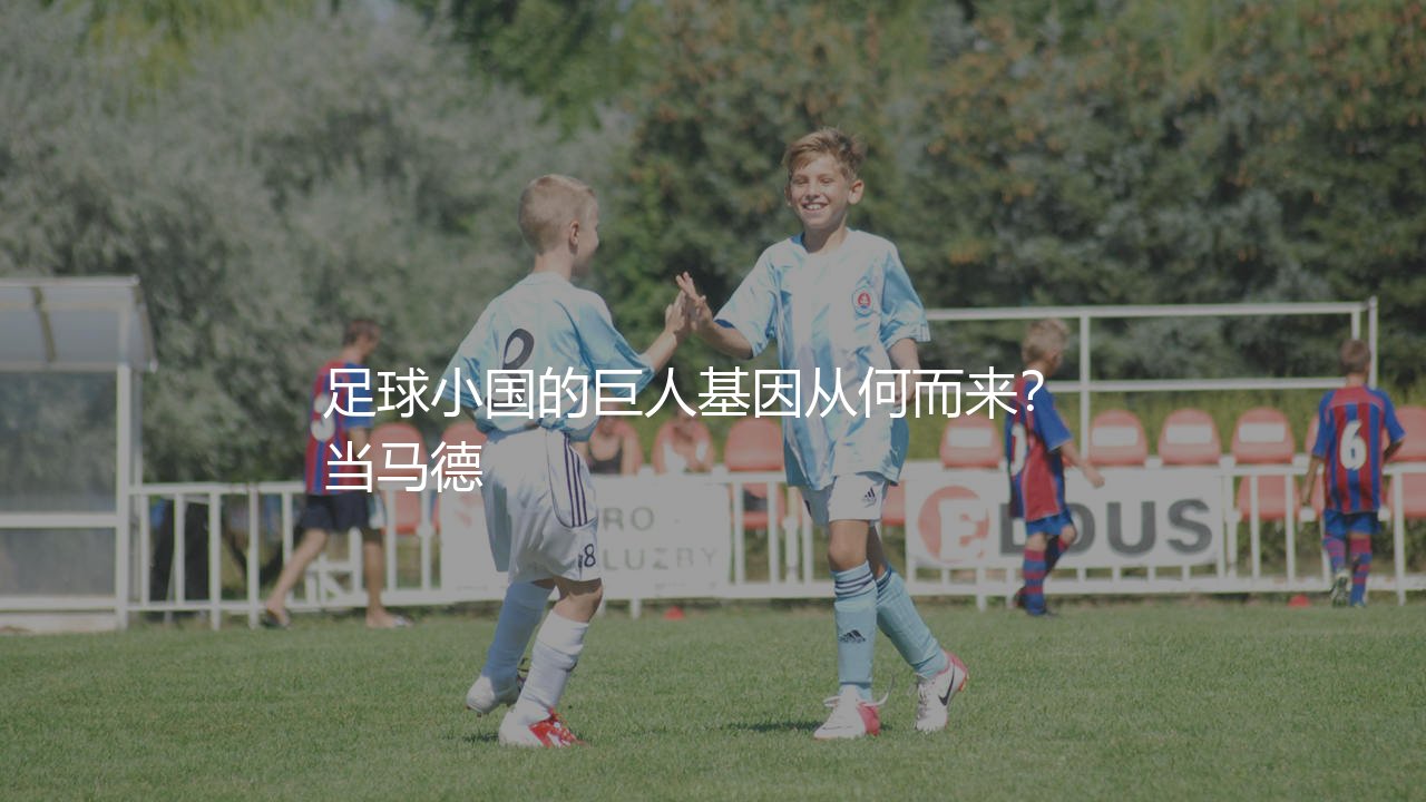 斯洛文尼亚队效力五大联赛的知名球星有哪些?足球小国的巨人基因从何而来?-第1张图片-天体号 斯洛文尼亚队效力五大联赛的知名球星有哪些?足球小国的巨人基因从何而来?-第1张图片-天体号