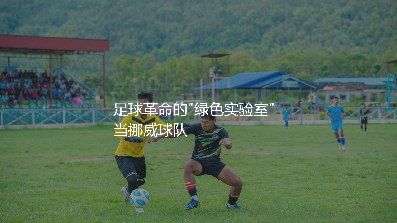 博德闪耀主场是人工草坪吗?足球革命的"绿色实验室"-第1张图片-天体号 博德闪耀主场是人工草坪吗?足球革命的"绿色实验室"-第1张图片-天体号
