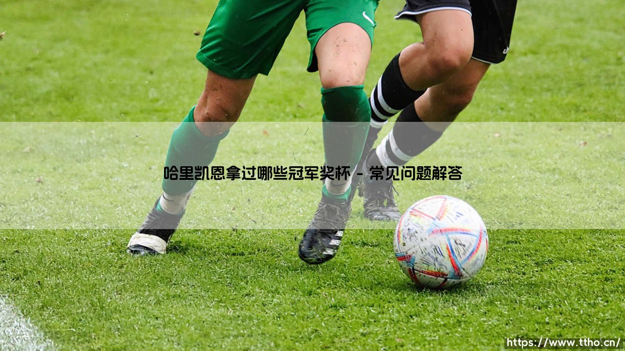 哈里凯恩拿过哪些冠军奖杯：哈里凯恩获得的荣誉背后的故事-第5张图片-天体号