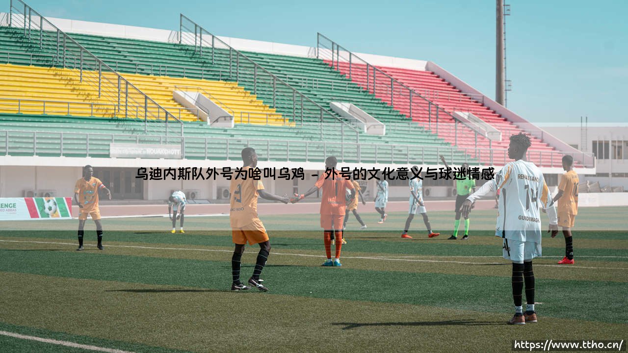 乌迪内斯队外号为啥叫乌鸡？乌迪内斯被球迷成为乌鸡的由来-第2张图片-天体号