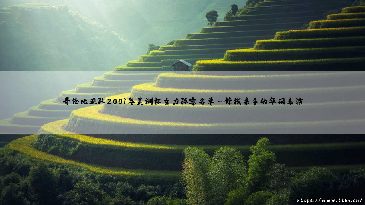 哥伦比亚队2001年美洲杯主力阵容名单解析:哥伦比亚队黄金一代的最后一舞-第3张图片-天体号 哥伦比亚队2001年美洲杯主力阵容名单解析:哥伦比亚队黄金一代的最后一舞-第3张图片-天体号