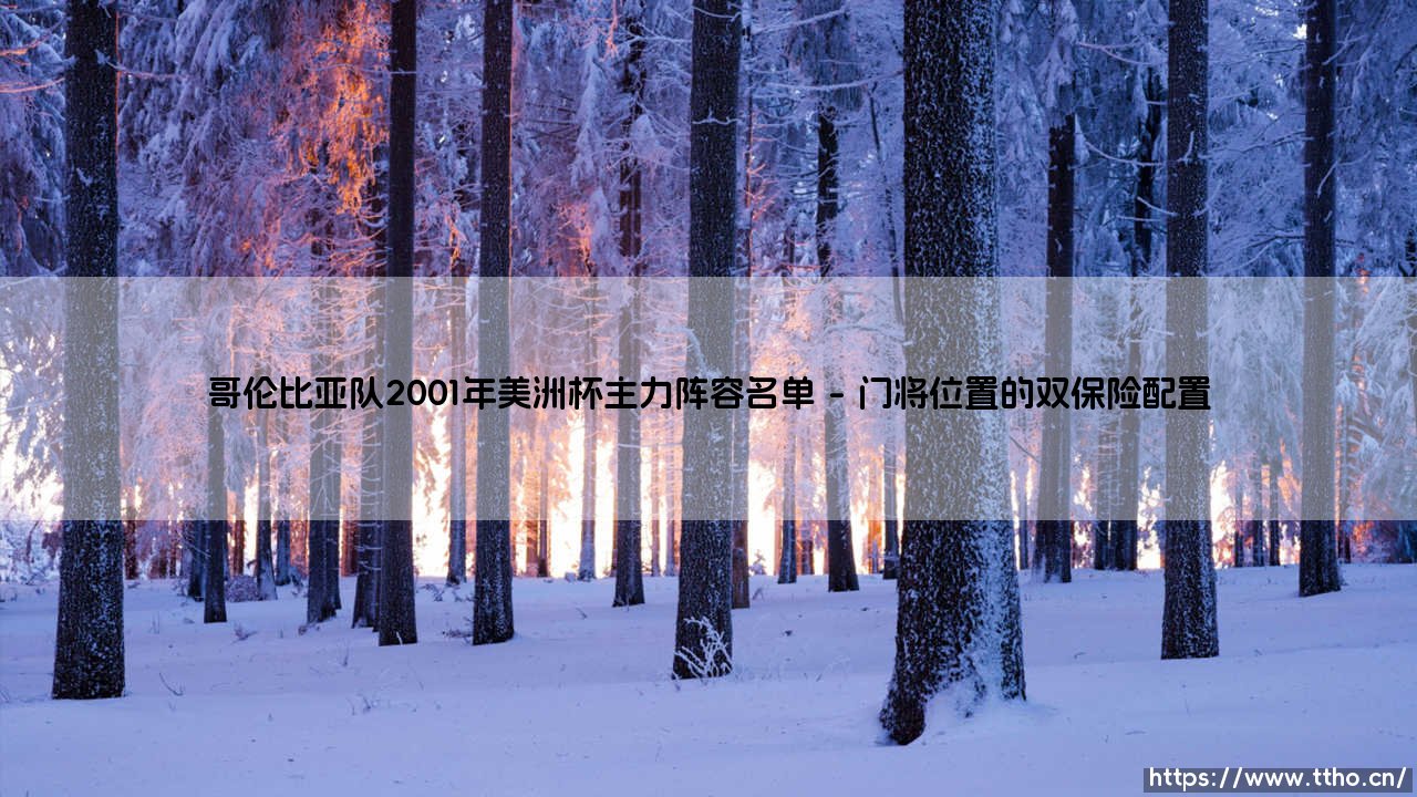 哥伦比亚队2001年美洲杯主力阵容名单解析:哥伦比亚队黄金一代的最后一舞-第1张图片-天体号 哥伦比亚队2001年美洲杯主力阵容名单解析:哥伦比亚队黄金一代的最后一舞-第1张图片-天体号
