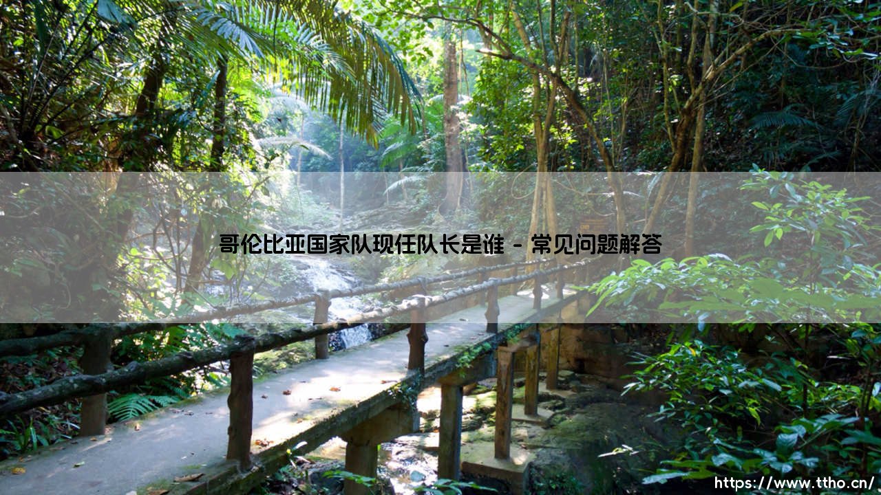 哥伦比亚国家队现任队长是谁？这支南美劲旅的灵魂人物如何定义？-第4张图片-天体号