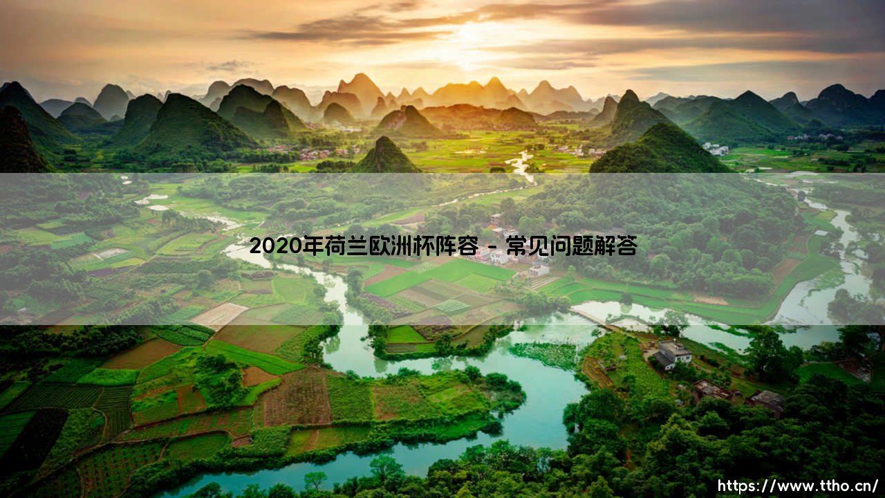 2020年荷兰欧洲杯阵容回顾：橙衣军团的复兴之路与战术分析-第5张图片-天体号