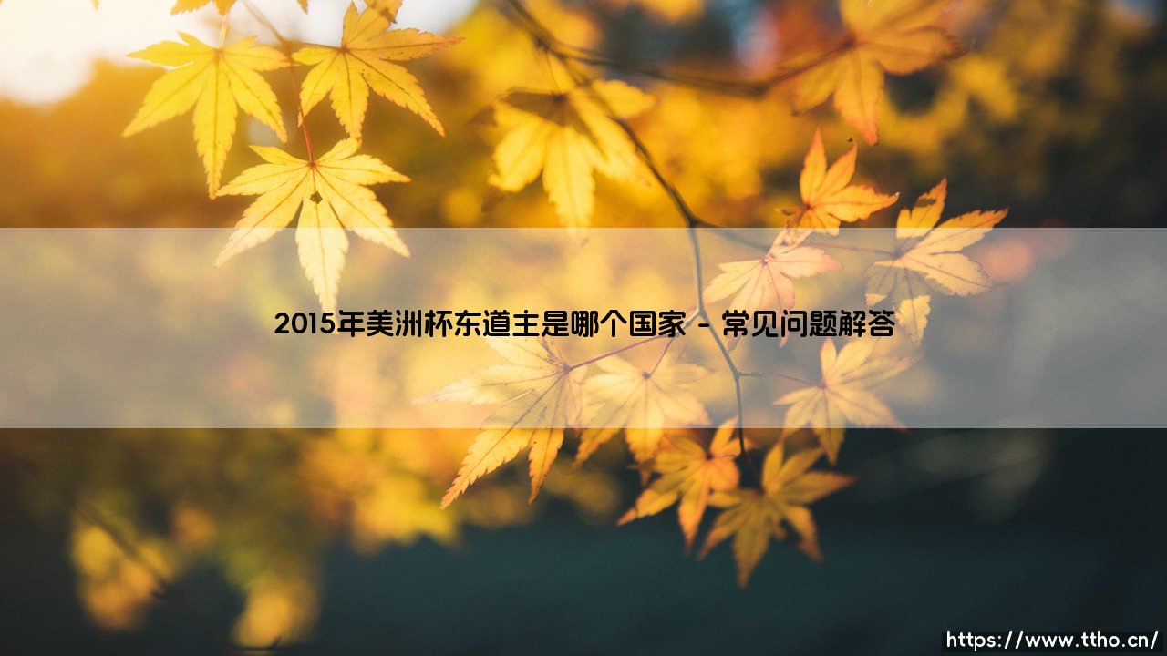 2015年美洲杯：2015年美洲杯东道主智利的足球盛宴之旅-第4张图片-天体号