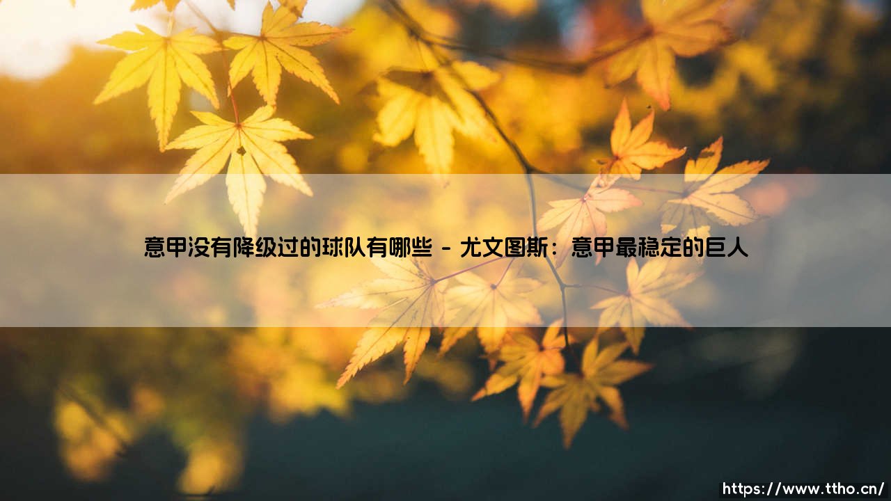 意甲从未降级的球队有哪些?盘点那些意甲历史上从未降级的传奇俱乐部-第1张图片-天体号 意甲从未降级的球队有哪些?盘点那些意甲历史上从未降级的传奇俱乐部-第1张图片-天体号