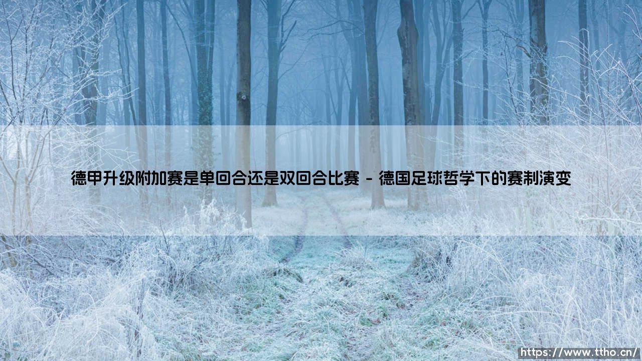 德甲升级附加赛的赛制玄机:单回合决胜还是双回合鏖战更显公平?-第1张图片-天体号 德甲升级附加赛的赛制玄机:单回合决胜还是双回合鏖战更显公平?-第1张图片-天体号