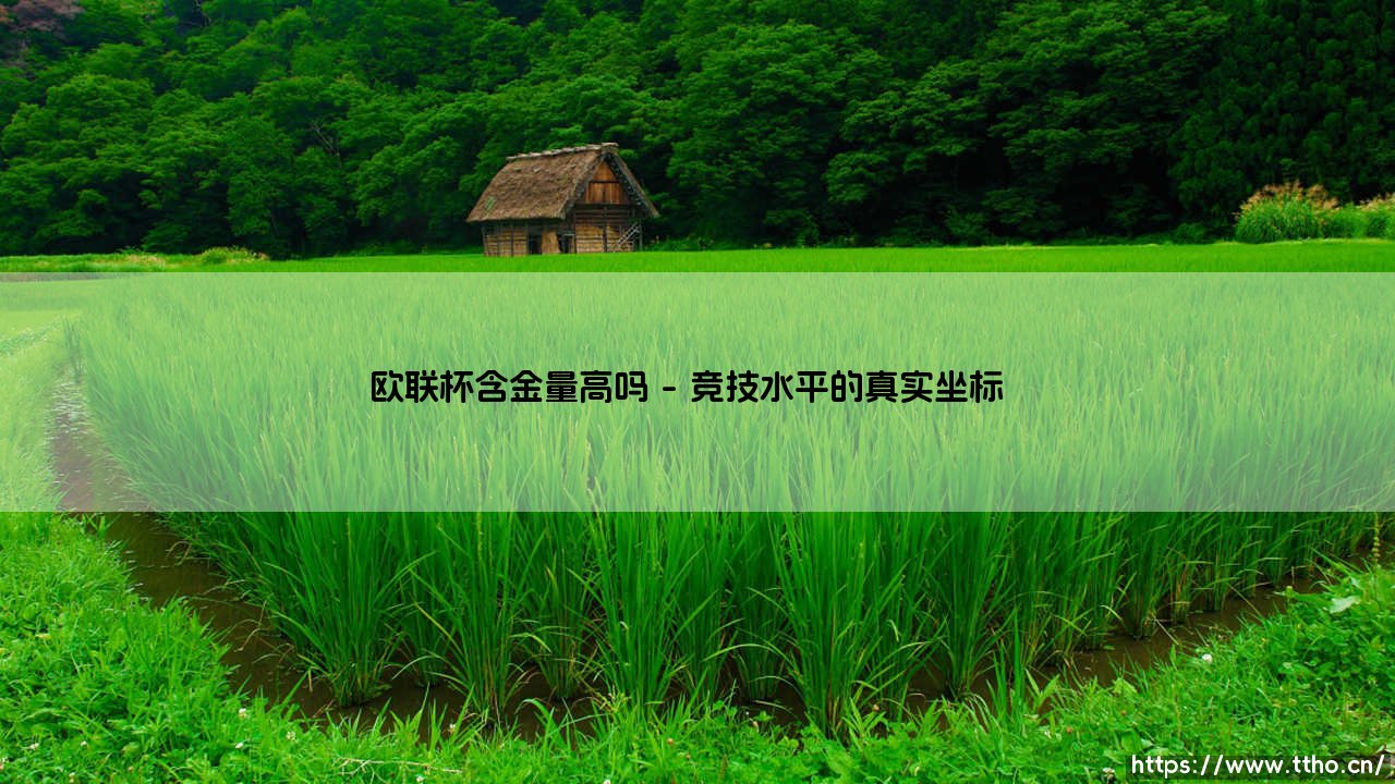 欧联杯含金量究竟有多高?这项赛事是否被严重低估了-第1张图片-天体号 欧联杯含金量究竟有多高?这项赛事是否被严重低估了-第1张图片-天体号