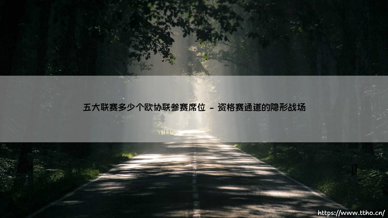 五大联赛欧协联席位解析:欧洲次级战场的参赛权争夺-第2张图片-天体号 五大联赛欧协联席位解析:欧洲次级战场的参赛权争夺-第2张图片-天体号