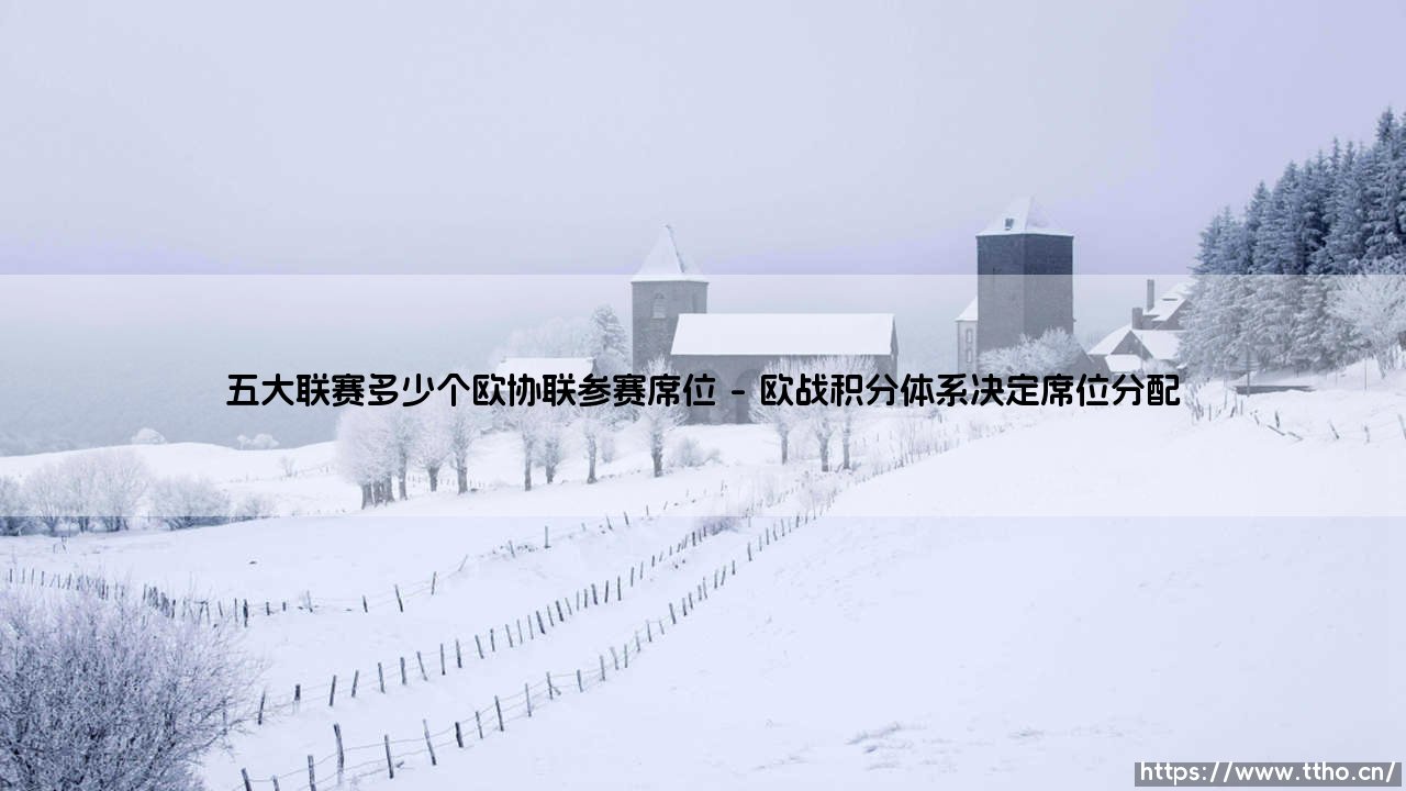 五大联赛欧协联席位解析:欧洲次级战场的参赛权争夺-第1张图片-天体号 五大联赛欧协联席位解析:欧洲次级战场的参赛权争夺-第1张图片-天体号