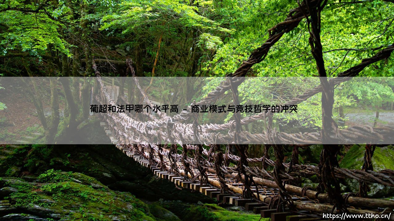 葡超与法甲之争：哪个联赛的竞技水平更高？-第2张图片-天体号