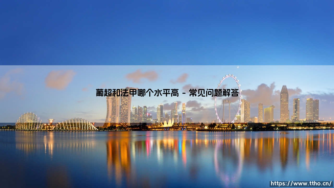 葡超与法甲之争：哪个联赛的竞技水平更高？-第4张图片-天体号