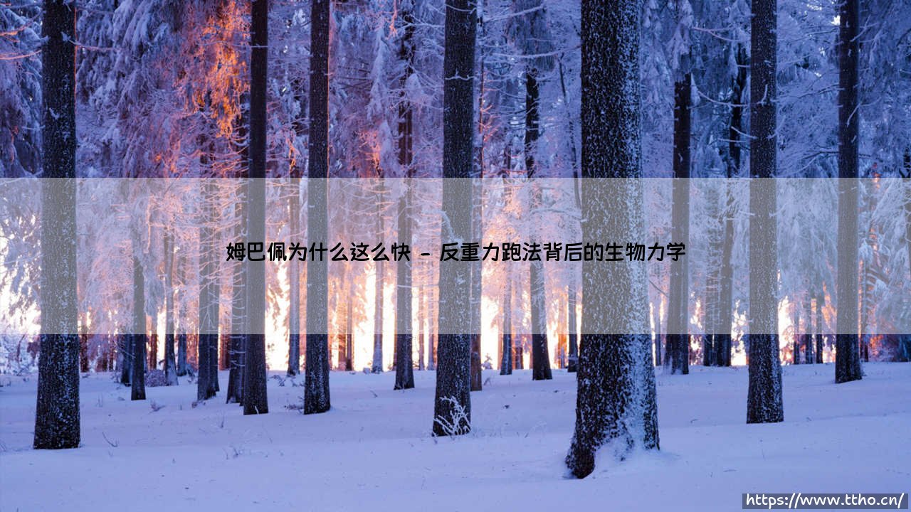 姆巴佩为什么这么快?揭秘「法国闪电」的极速密码:他究竟如何练就无解爆发力?-第2张图片-天体号 姆巴佩为什么这么快?揭秘「法国闪电」的极速密码:他究竟如何练就无解爆发力?-第2张图片-天体号