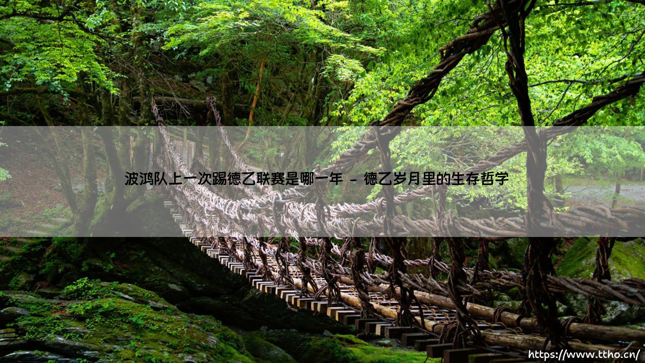 波鸿队上一次踢德乙联赛是哪一年?鲁尔区老牌球队的升降沉浮录-第2张图片-天体号 波鸿队上一次踢德乙联赛是哪一年?鲁尔区老牌球队的升降沉浮录-第2张图片-天体号