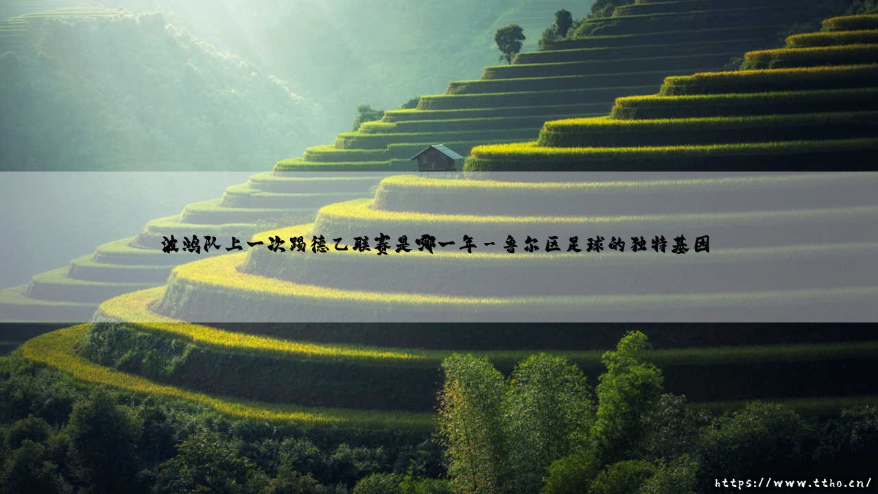 波鸿队上一次踢德乙联赛是哪一年?鲁尔区老牌球队的升降沉浮录-第3张图片-天体号 波鸿队上一次踢德乙联赛是哪一年?鲁尔区老牌球队的升降沉浮录-第3张图片-天体号