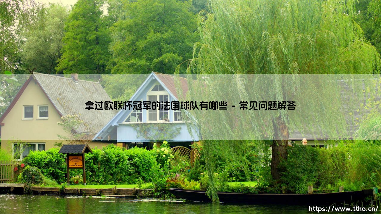 拿过欧联杯冠军的法国球队有哪些？探秘法甲劲旅的欧战荣耀之路-第4张图片-天体号