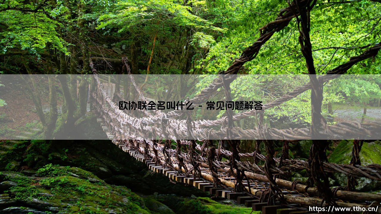 欧协联全名叫什么？带你深入了解这项新兴欧洲赛事-第4张图片-天体号
