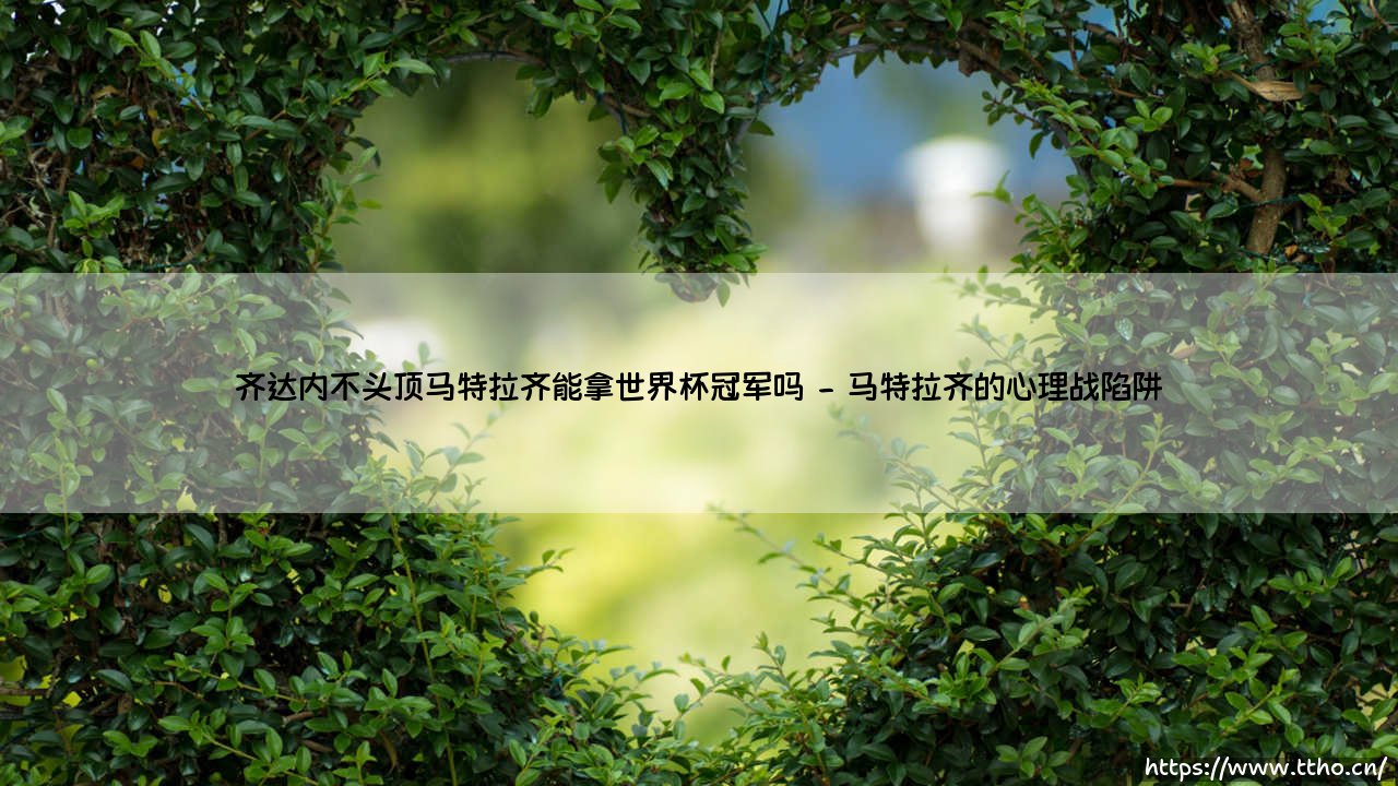 齐达内不头顶马特拉齐能拿世界杯冠军吗?- 如果齐祖保持冷静,「法国队」的命运会改写吗?-第2张图片-天体号 齐达内不头顶马特拉齐能拿世界杯冠军吗?- 如果齐祖保持冷静,「法国队」的命运会改写吗?-第2张图片-天体号