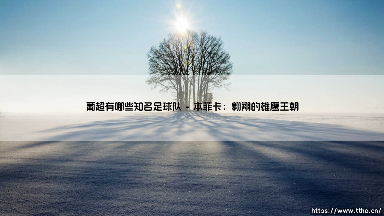 葡超有哪些知名足球队？探索葡萄牙足球顶级联赛的豪门劲旅-第1张图片-天体号