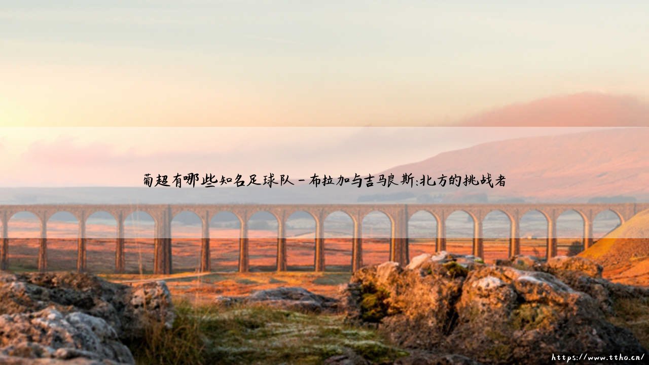 葡超有哪些知名足球队？探索葡萄牙足球顶级联赛的豪门劲旅-第4张图片-天体号