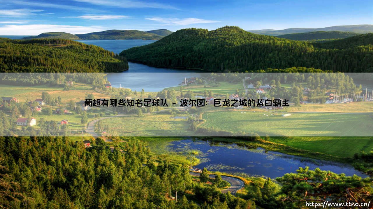 葡超有哪些知名足球队？探索葡萄牙足球顶级联赛的豪门劲旅-第2张图片-天体号