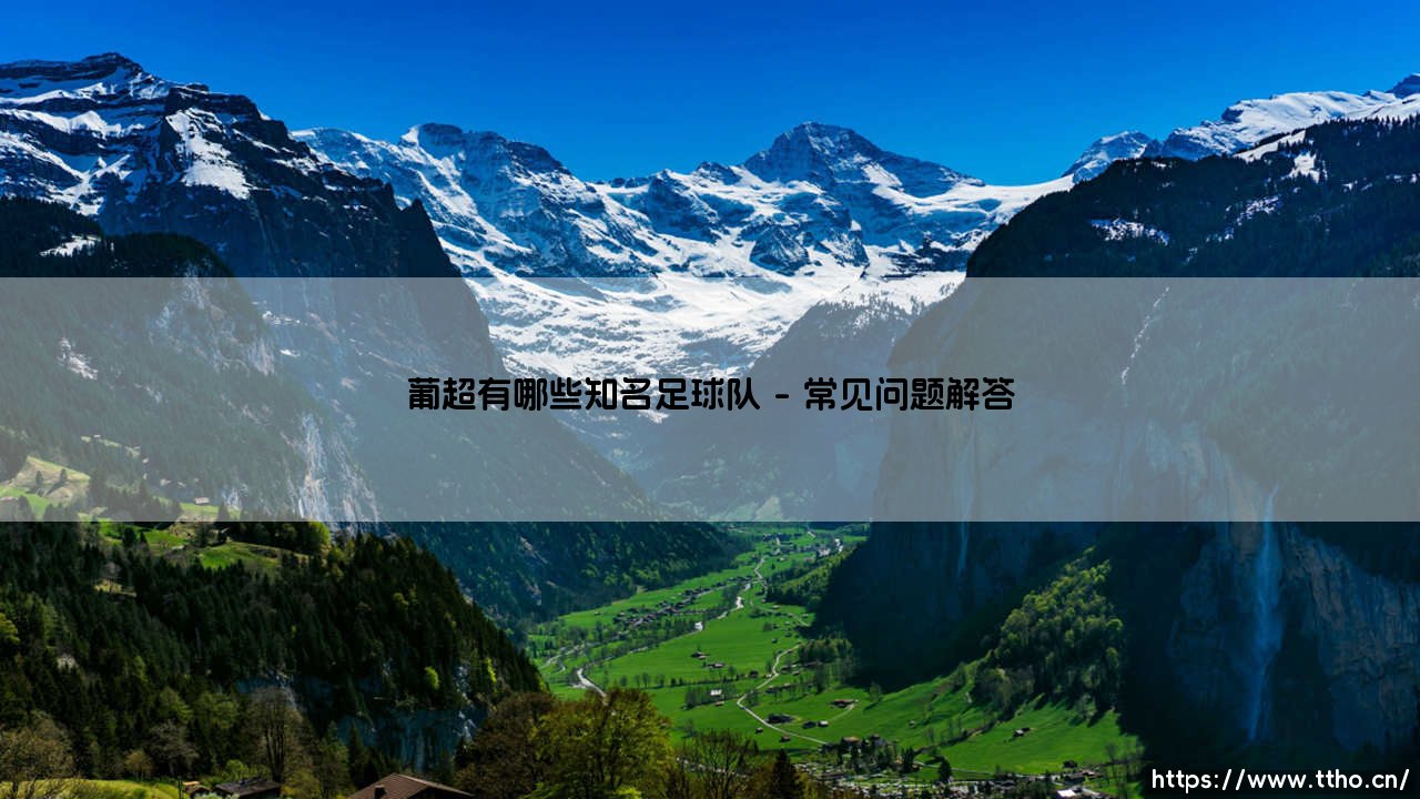 葡超有哪些知名足球队？探索葡萄牙足球顶级联赛的豪门劲旅-第5张图片-天体号
