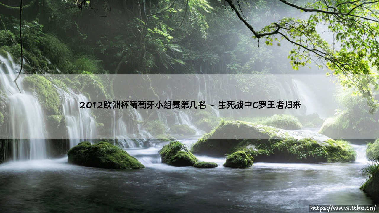 2012欧洲杯葡萄牙小组赛第几名？C罗率队惊险出线的跌宕历程-第2张图片-天体号