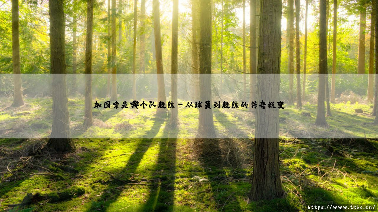 加图索是哪个队教练?深入解析铁血教头的执教生涯-第3张图片-天体号 加图索是哪个队教练?深入解析铁血教头的执教生涯-第3张图片-天体号