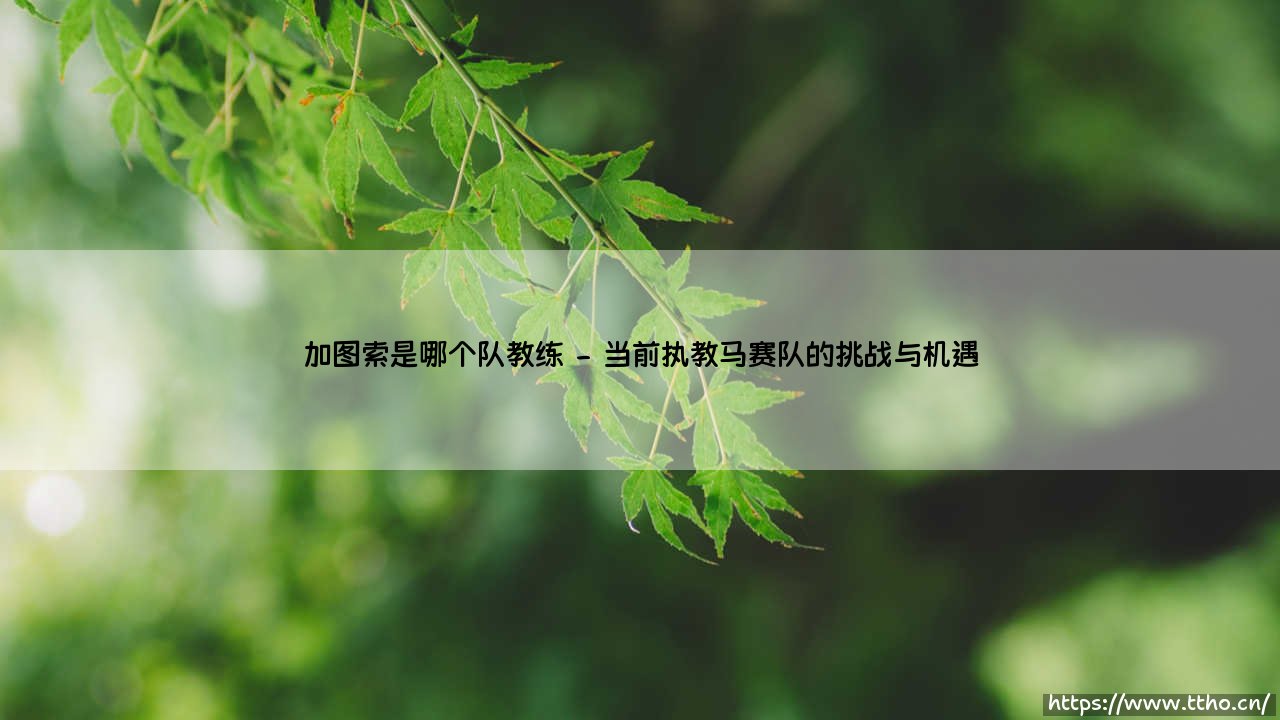 加图索是哪个队教练?深入解析铁血教头的执教生涯-第2张图片-天体号 加图索是哪个队教练?深入解析铁血教头的执教生涯-第2张图片-天体号