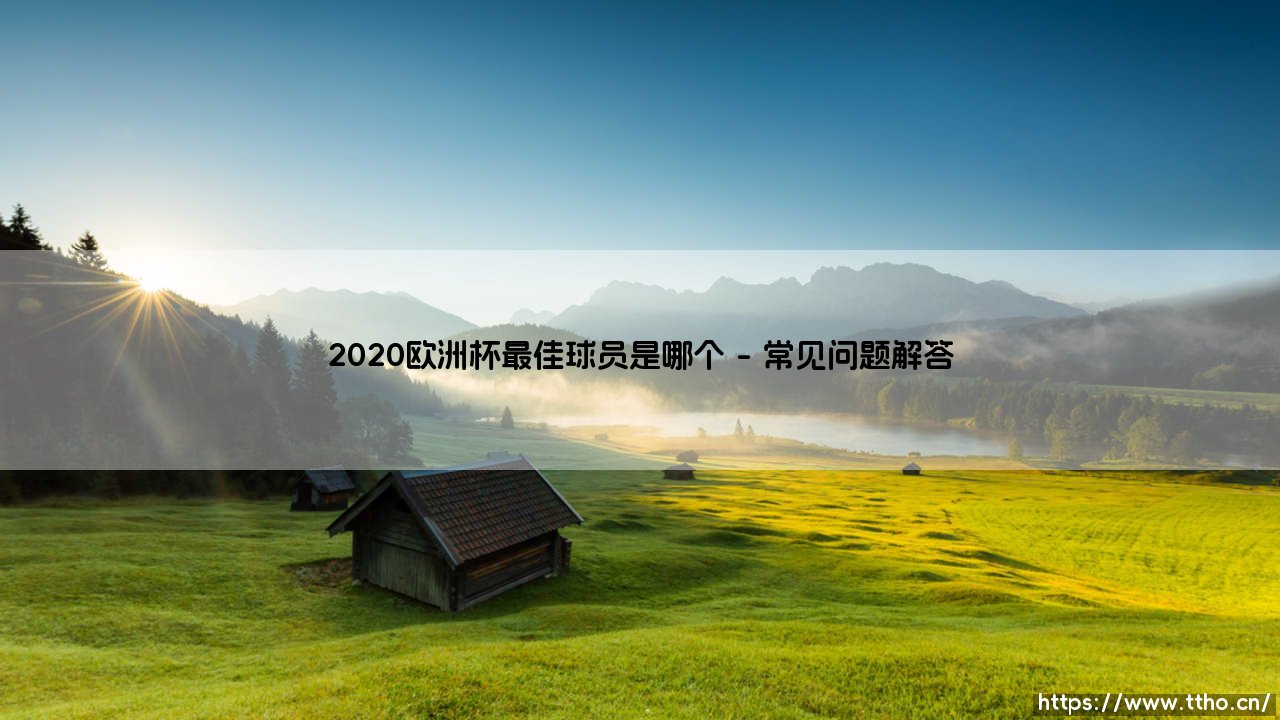 2020欧洲杯最佳球员是谁？荣誉背后的战术密码与时代隐喻-第4张图片-天体号