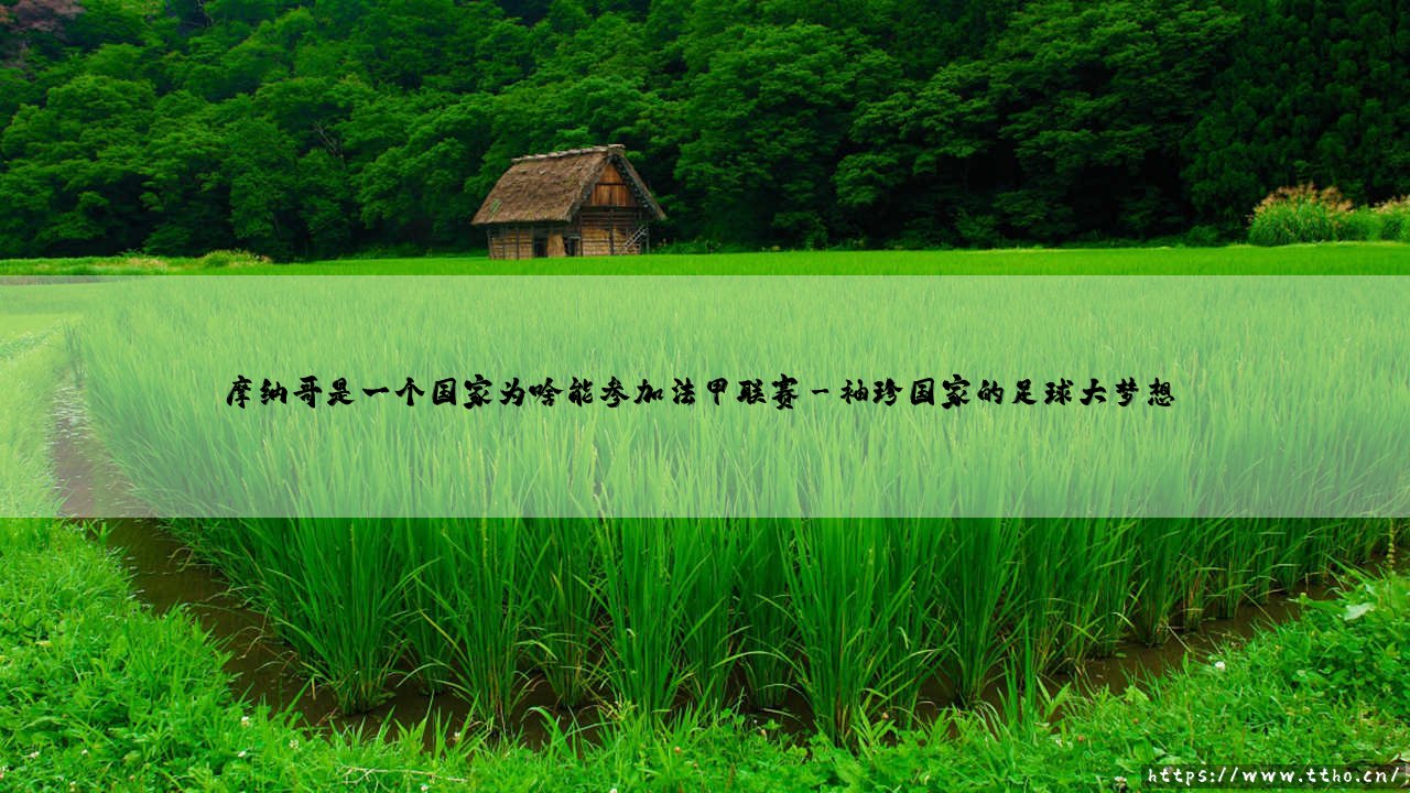 摩纳哥是一个国家为啥能参加法甲联赛？揭秘：这个袖珍王国如何称霸法国足球赛场？-第3张图片-天体号