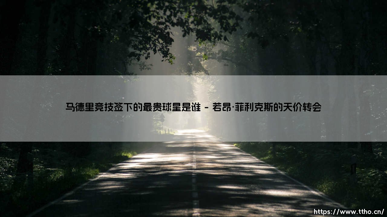 马德里竞技签下的最贵球星是谁？探寻床单军团的历史标王「马竞最贵引援全解析」-第1张图片-天体号