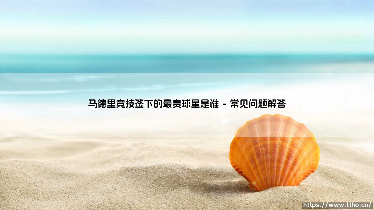 马德里竞技签下的最贵球星是谁？探寻床单军团的历史标王「马竞最贵引援全解析」-第5张图片-天体号