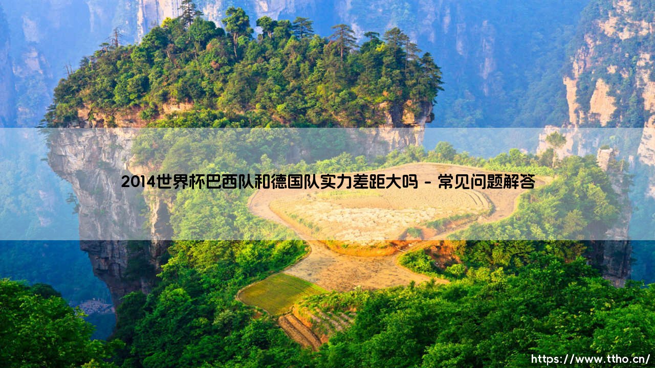 2014世界杯实力悬殊之战：巴西队与德国队的差距究竟有多大？2014世界杯巴西德国对决实力分析-第5张图片-天体号