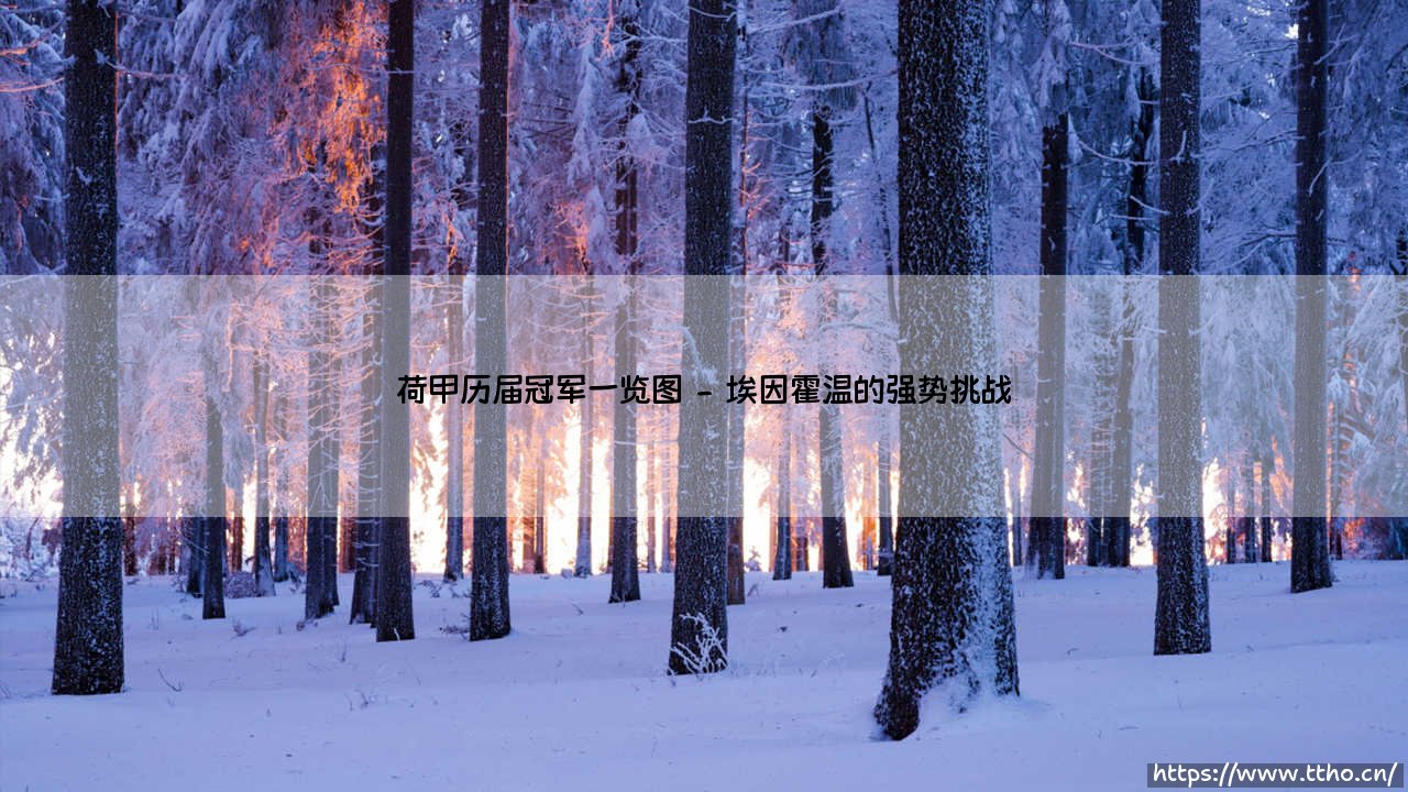 荷甲历届冠军一览图:荷兰足球的荣耀传承-第2张图片-天体号 荷甲历届冠军一览图:荷兰足球的荣耀传承-第2张图片-天体号