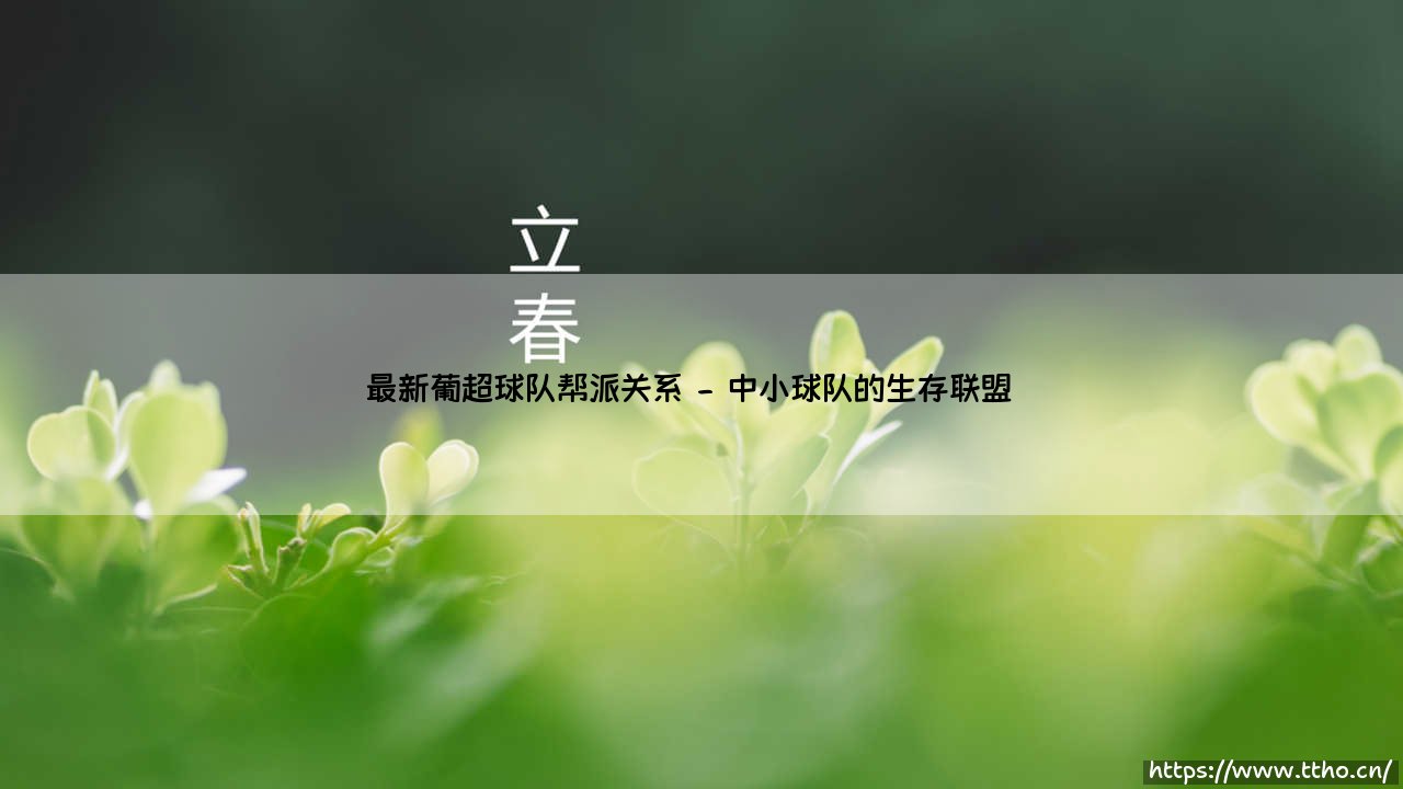 最新葡超球队帮派关系:葡萄牙绿茵场外的权力版图-第2张图片-天体号 最新葡超球队帮派关系:葡萄牙绿茵场外的权力版图-第2张图片-天体号