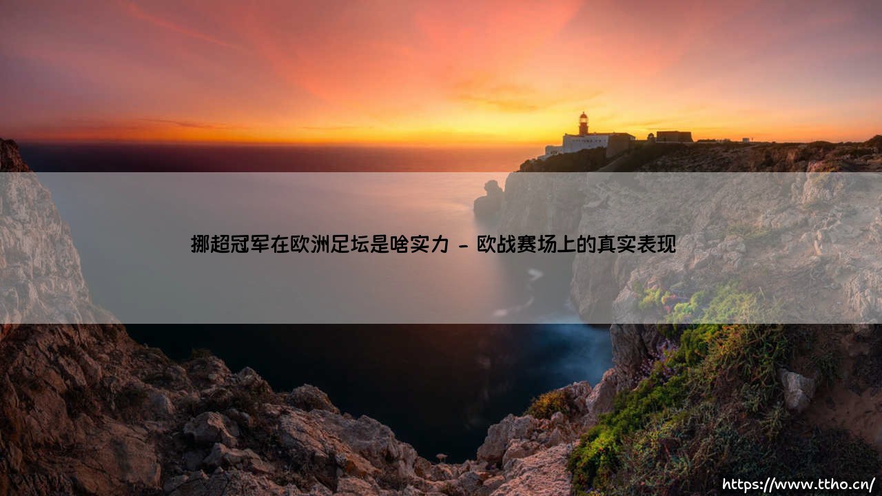 挪超冠军在欧洲足坛是啥实力？揭秘挪威足球的生存现状-第2张图片-天体号