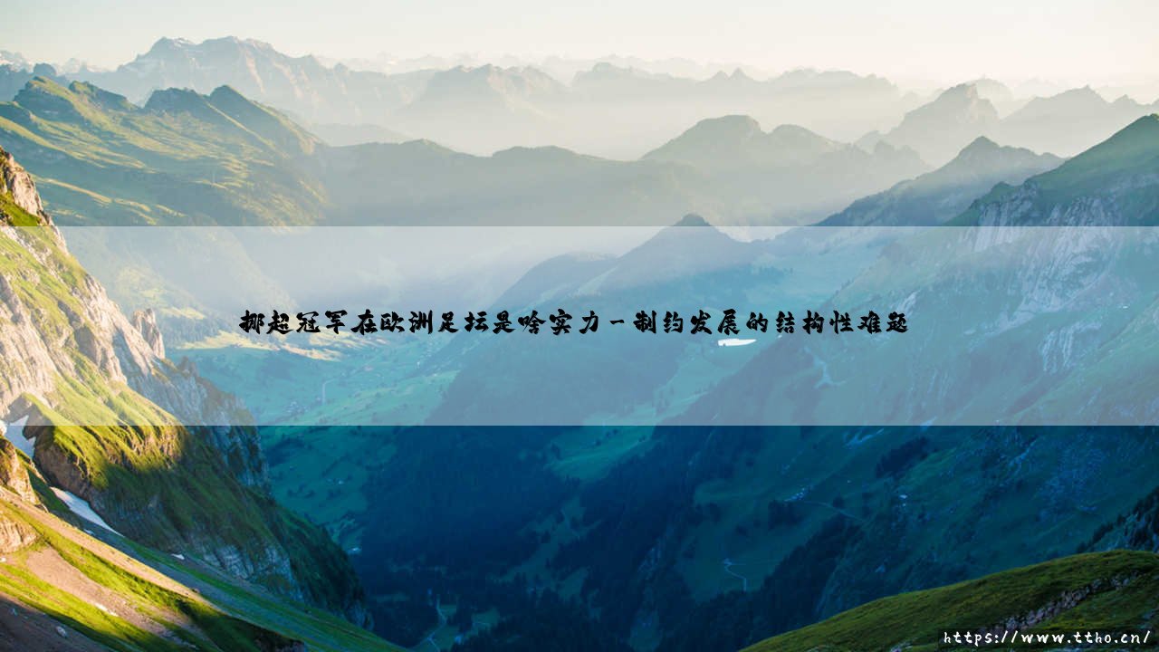 挪超冠军在欧洲足坛是啥实力？揭秘挪威足球的生存现状-第3张图片-天体号