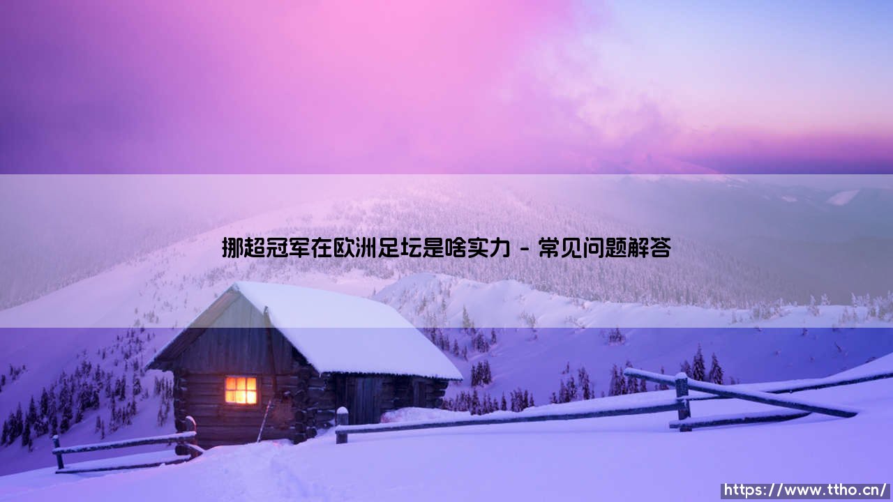 挪超冠军在欧洲足坛是啥实力？揭秘挪威足球的生存现状-第4张图片-天体号