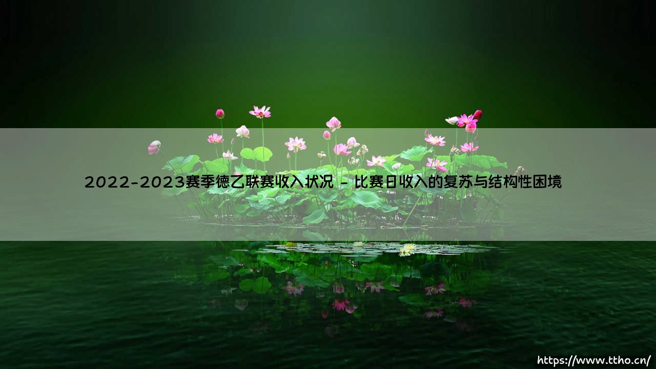 2022-2023赛季德乙联赛收入状况:德国足球次级联赛的商业价值究竟被谁低估了?-第2张图片-天体号 2022-2023赛季德乙联赛收入状况:德国足球次级联赛的商业价值究竟被谁低估了?-第2张图片-天体号